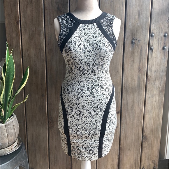 Parker Jaggar • sleeveless sheath Dress - Picture 4 of 14